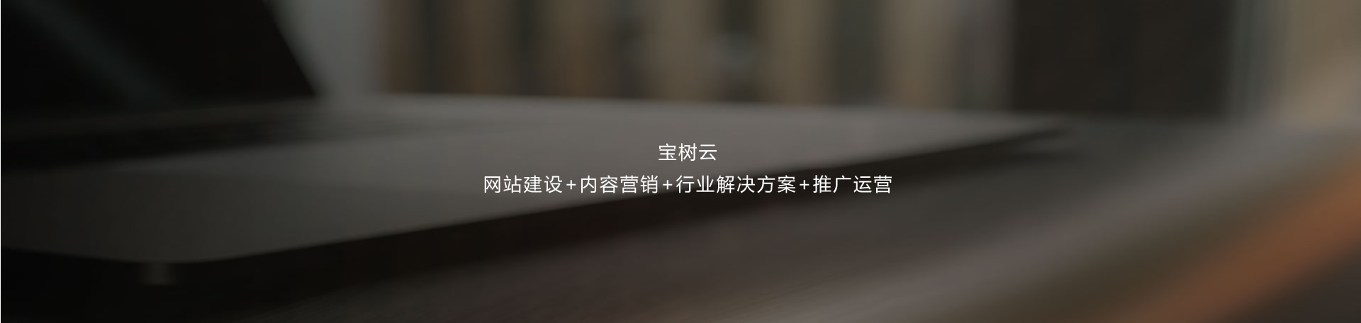 打造全网营销平台