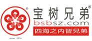 小程序开发,微信公众号,腾讯广告,小红书代运营,抖音,营销型网站建设,智慧商城,网络营销,深圳网建开发、广州网站建设、东莞网站、网络营销方案-宝树兄弟